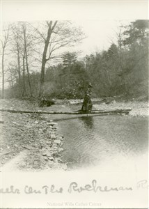 Image description is not available for PHO-4-W689-77